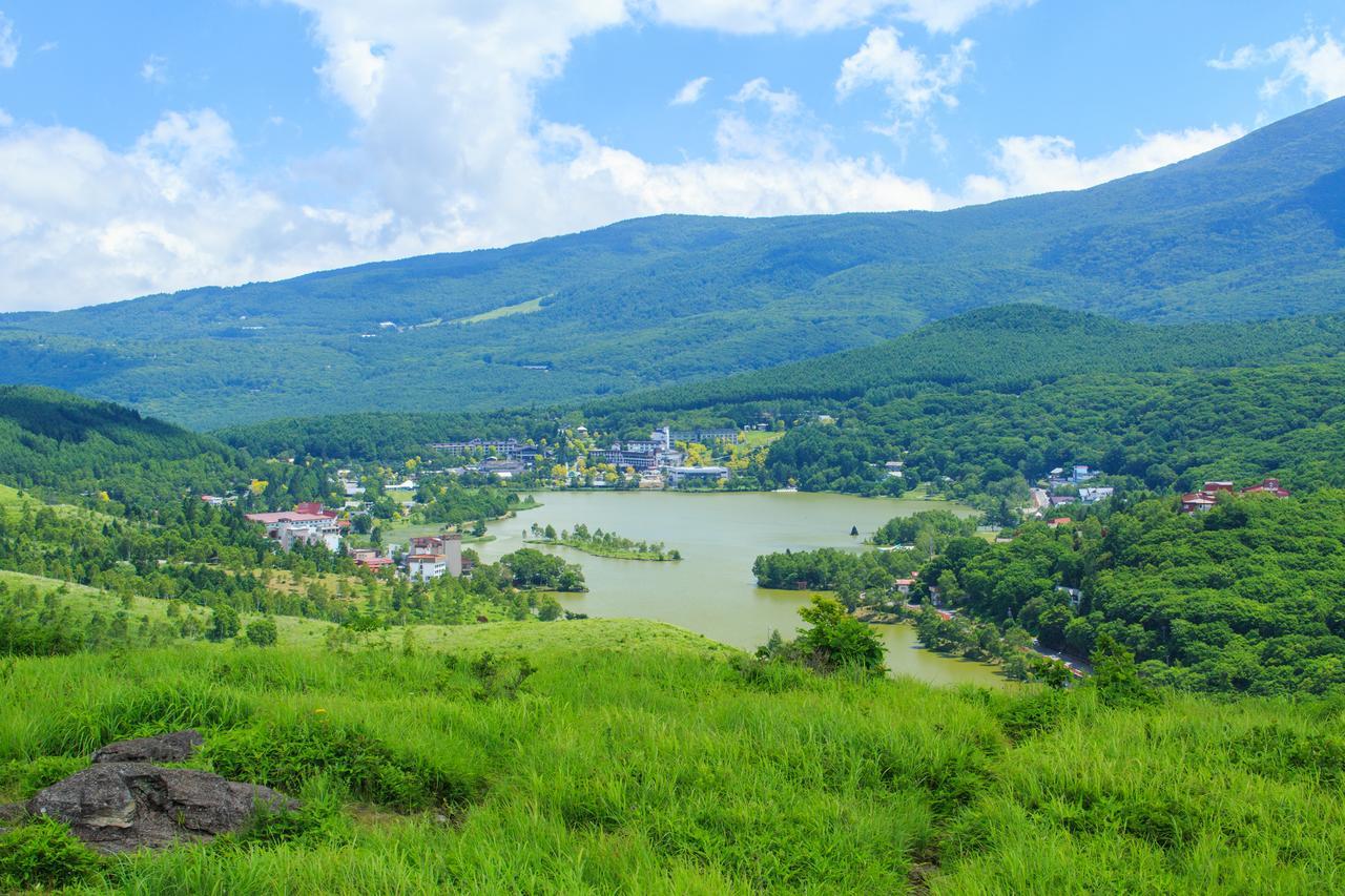 Tateshina Park Hotel Тино Экстерьер фото